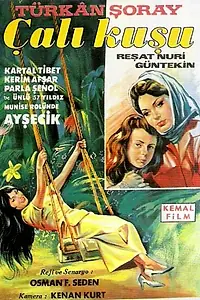 Постер к фильму «Королек – птичка певчая (1966)»