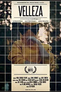 Постер к фильму «Velleza (2013)»