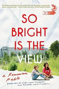 Главный постер фильма «Так светел вид (2014)»