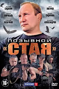 Постер к сериалу «Позывной «Стая» (2013)»
