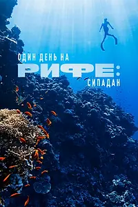 Постер к фильму «Один день на рифе: Сипадан (2023)»