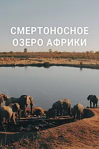 Главный постер фильма «Смертоносное озеро Африки (2020)»