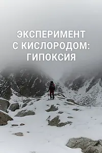 Постер к фильму «Эксперимент с кислородом: гипоксия (2020)»