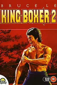 Главный постер фильма «Сокровище Брюса Ли (1979)»
