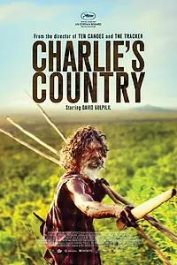 Главный постер фильма «Страна Чарли (2013)»