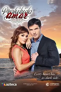 Главный постер сериала «Запретная любовь (2013 - 2014)»