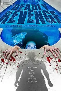 Главный постер фильма «Убийственная месть (2013)»
