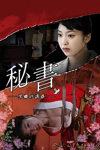 Постер к фильму «Passions of a Private Secretary (2009)»