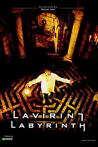 Постер к фильму «Лабиринт (2002)»