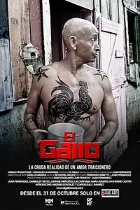 Постер к фильму «El Gallo (2013)»