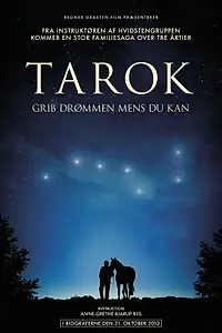 Постер к фильму «Поймать мечту (2013)»