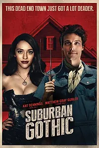 Главный постер фильма «Пригородная готика (2014)»