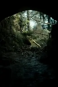 Постер к фильму «The Beast (2013)»