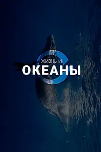 Главный постер сериала «Жизнь и Океаны (2025)»