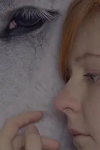 Главный постер фильма «The Wishing Horse (2014)»