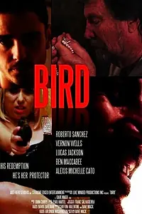 Постер к фильму «Bird (2020)»