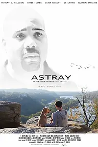 Постер к фильму «Astray (2014)»