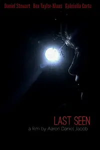 Постер к фильму «Last Seen (2013)»
