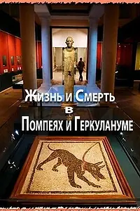 Постер к фильму «Жизнь и смерть в Помпеях и Геркулануме (2013)»