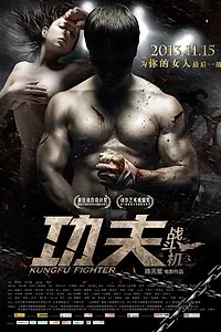 Главный постер фильма «Боец кунг-фу (2013)»
