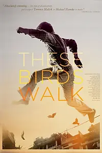 Постер к фильму «These Birds Walk (2012)»