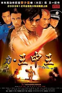 Постер к фильму «Li wang zhong wang (2003)»
