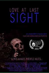 Главный постер фильма «Love at Last Sight (2014)»