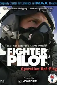 Главный постер фильма «Боевые пилоты: Операция «Красный флаг» (2004)»