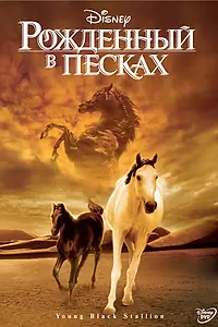 Главный постер фильма «Рожденный в песках (2003)»