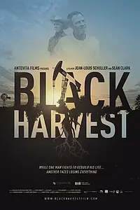 Постер к фильму «Black Harvest (2014)»