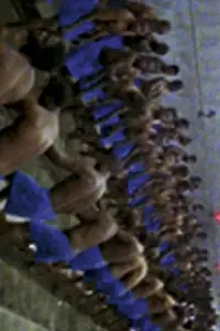Главный постер фильма «Западная глушь (2002)»