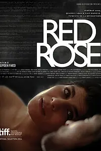 Постер к фильму «Red Rose (2014)»
