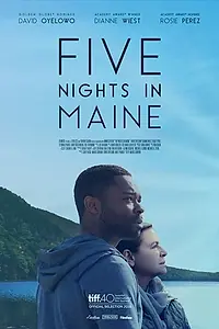 Постер к фильму «Пять ночей в Мэне (2015)»