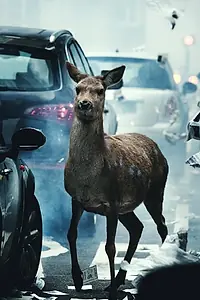 Главный постер фильма «Мы скучаем по вам (2011)»