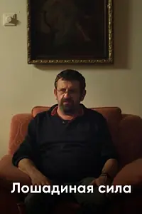 Главный постер фильма «Лошадиная сила (2014)»