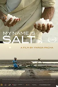 Постер к фильму «Имя мне соль (2013)»