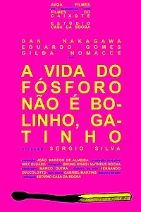 Главный постер фильма «A Vida do Fósforo Não É Bolinho, Gatinho (2014)»
