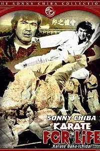 Постер к фильму «Обречённый на одиночество 3 (1977)»