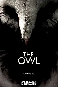 Постер к фильму «The Owl (2014)»