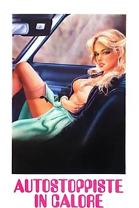 Главный постер фильма «Возбуждённые попутчицы (1979)»