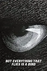 Постер к мультфильму «Не всё то птица, что летает (1970)»