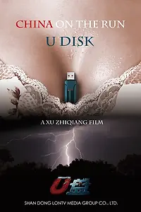 Постер к фильму «Флешка (2014)»