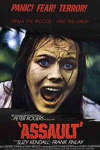 Главный постер фильма «Нападение (1971)»