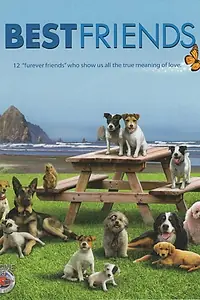 Постер к фильму «Best Friends (2014)»