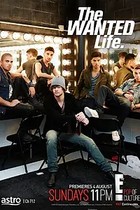 Постер к сериалу «The Wanted: Секреты успеха (2013)»