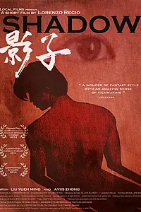 Постер к фильму «Тень (2014)»