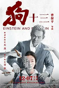 Постер к фильму «Эйнштейн и Эйнштейн (2013)»