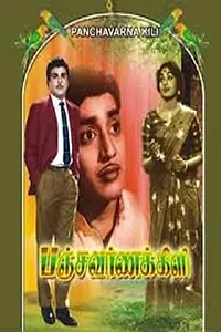 Главный постер фильма «Panchavarna Kili (1965)»