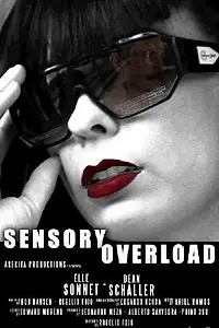 Постер к фильму «Sensory Overload (2014)»