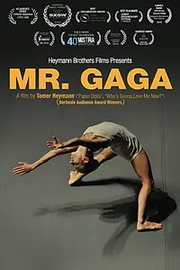 Постер к фильму «Мистер Гага (2015)»